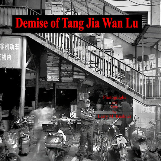 Demise of Tang Jia Wan Lu - 4318
