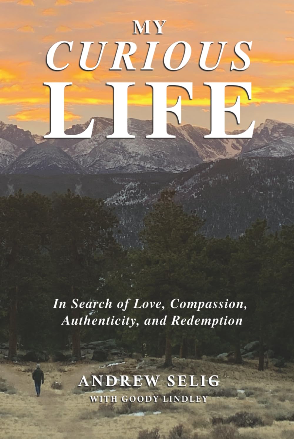 My Curious Life: In Search of Love, Compassion, Authenticity, and Redemption - 6293