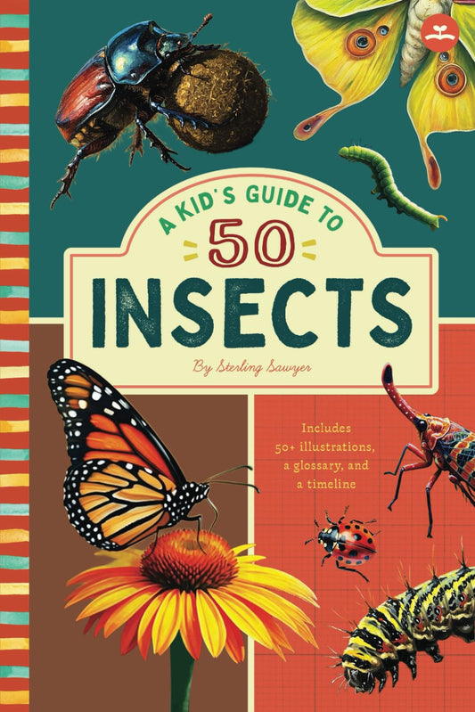 A Kid’s Guide to 50 Insects: An Introduction to Insects and Bugs with Full-Color Illustrations, Glossary, Timeline, and More (Book About Insects for Kids Ages 6-9)