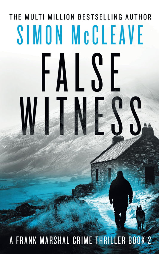 False Witness: A Frank Marshal Crime Thriller (Marshal of Snowdonia)