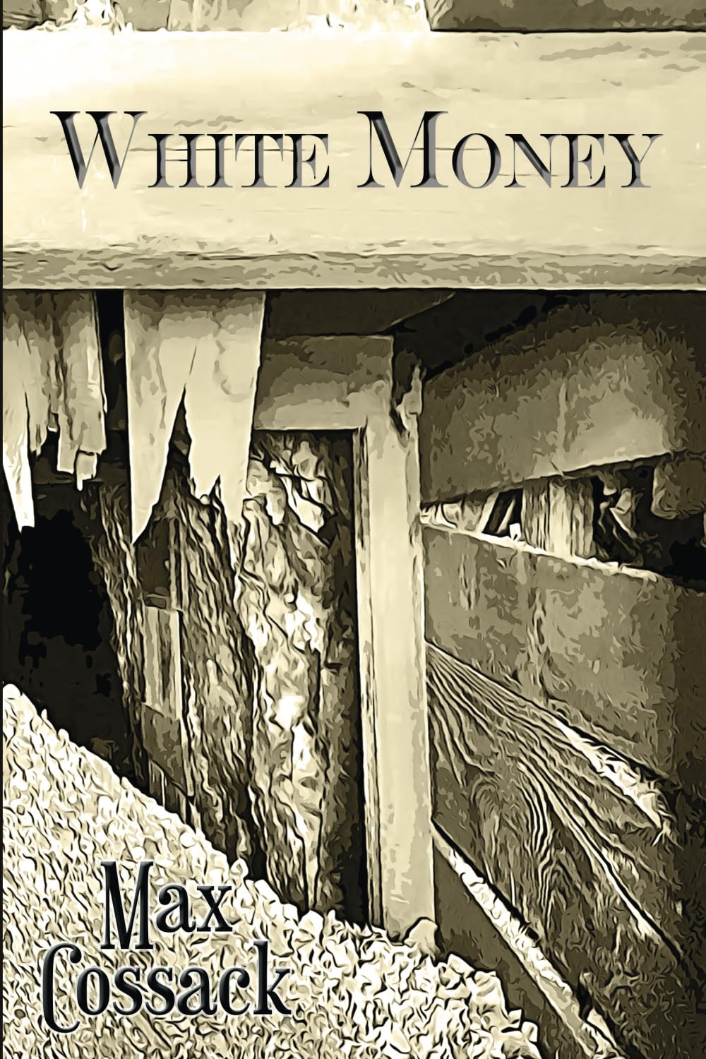 White Money (The Wilder Bunch)