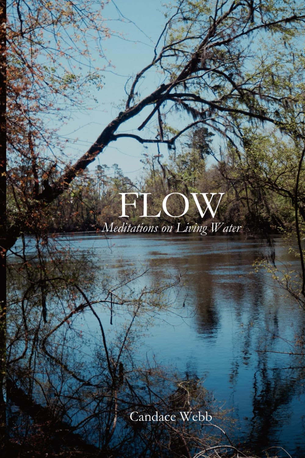 Flow: Meditations on Living Water
