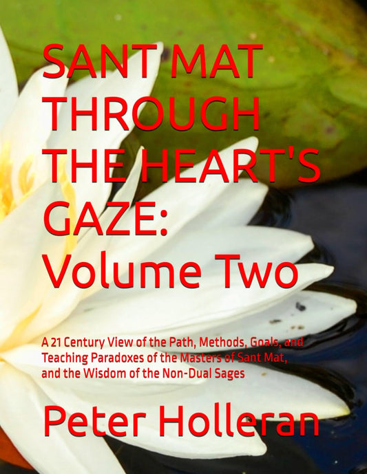 SANT MAT THROUGH THE HEART'S GAZE: Volume Two - 8896
