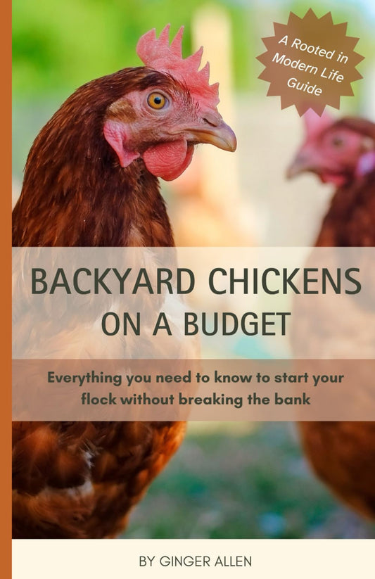 Backyard Chickens on a Budget: Everything you need to know to start your flock without breaking the bank - 5118