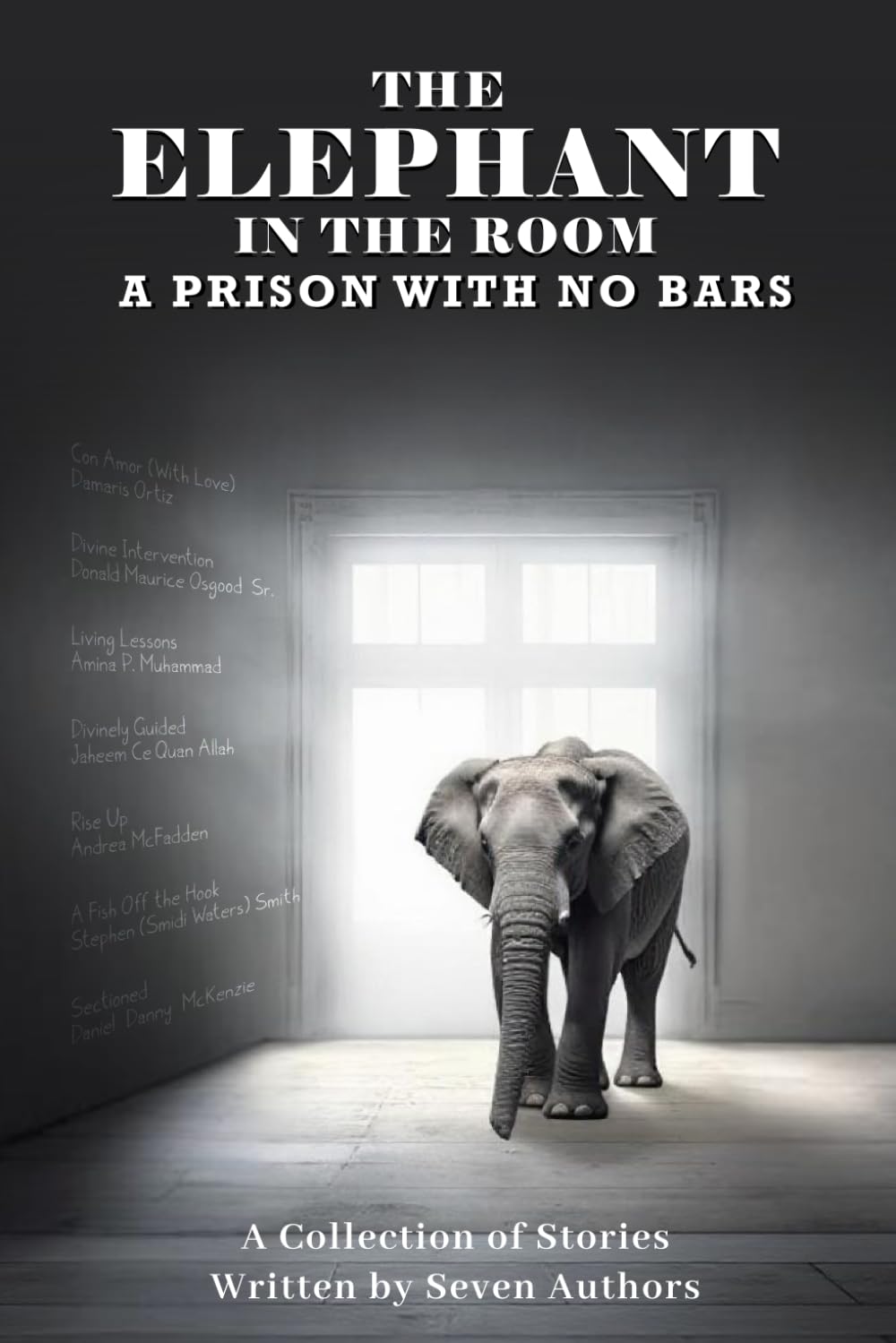The Elephant In The Room: A Prison With No Bars