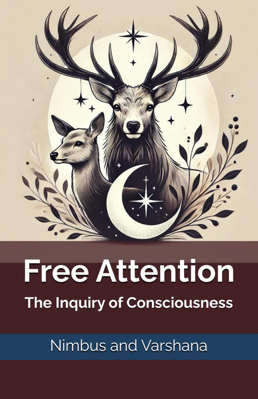 Free Attention: The Inquiry of Consciousness (Q Merging Consciousness Series)