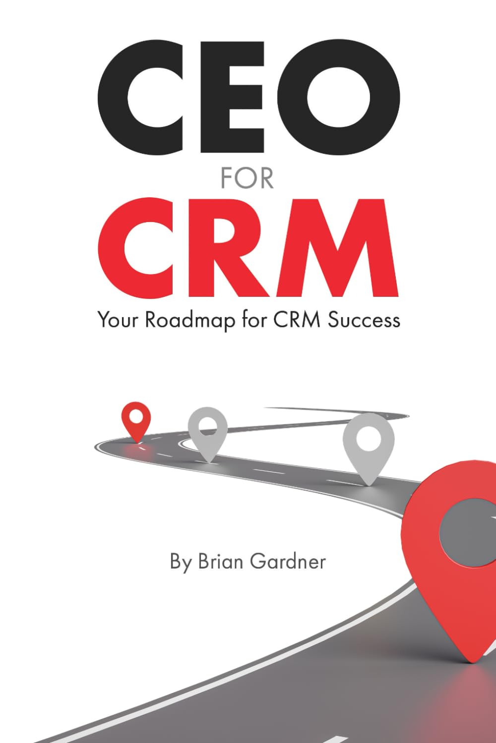 CEO for CRM: Your Roadmap for CRM Success