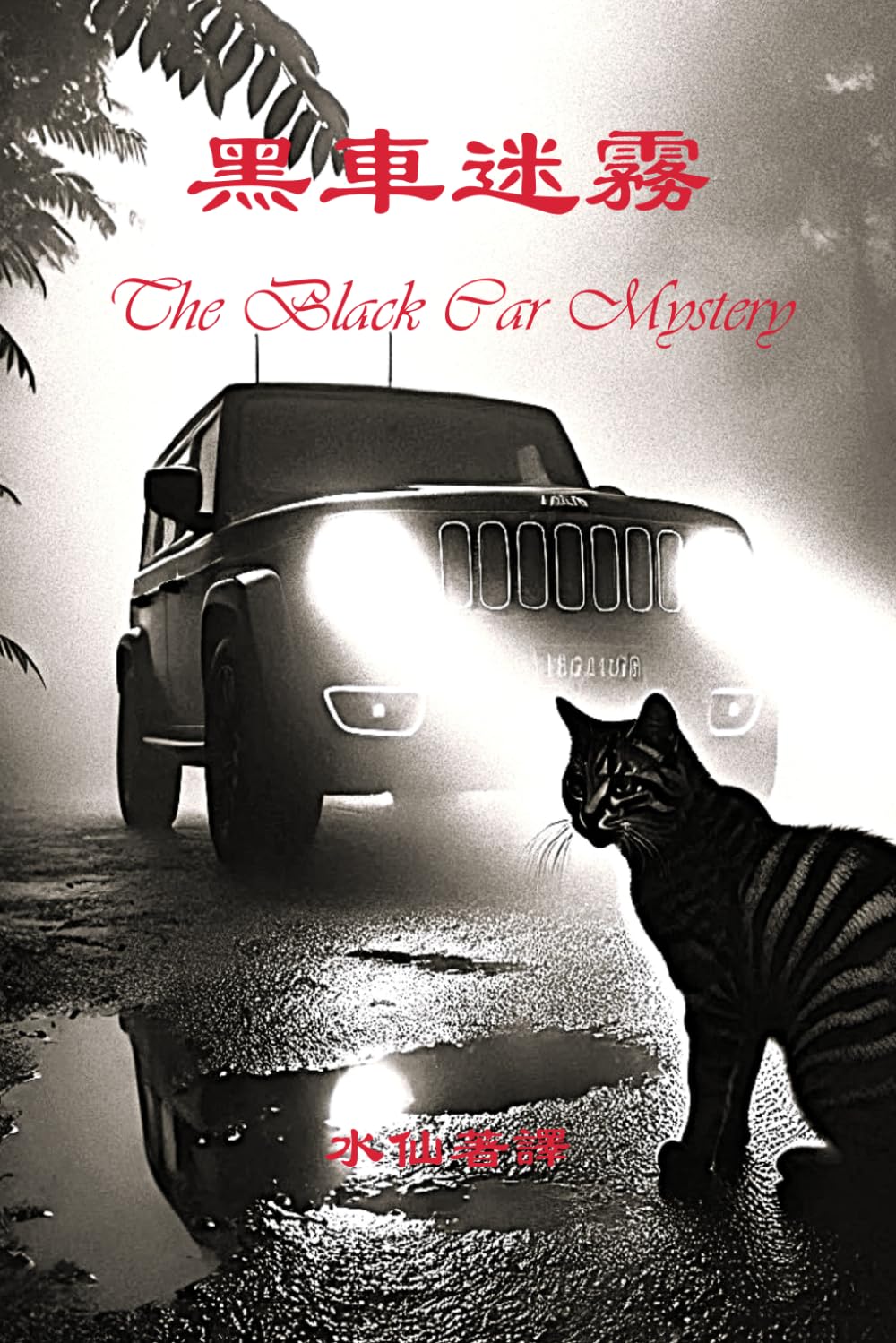 黒车迷雾: The Black Car Mystery