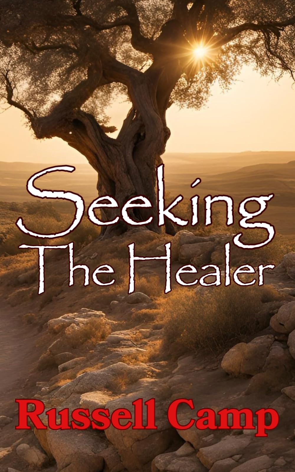 Seeking The Healer