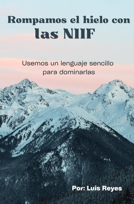 Rompamos el hielo con las NIIF: Usemos un lenguaje sencillo para dominarlas (Spanish Edition)