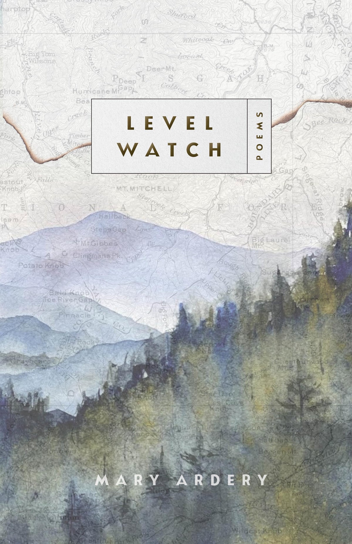 Level Watch