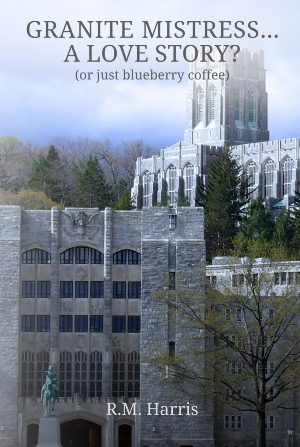 GRANITE MISTRESS … A LOVE STORY?: (or just blueberry coffee?)