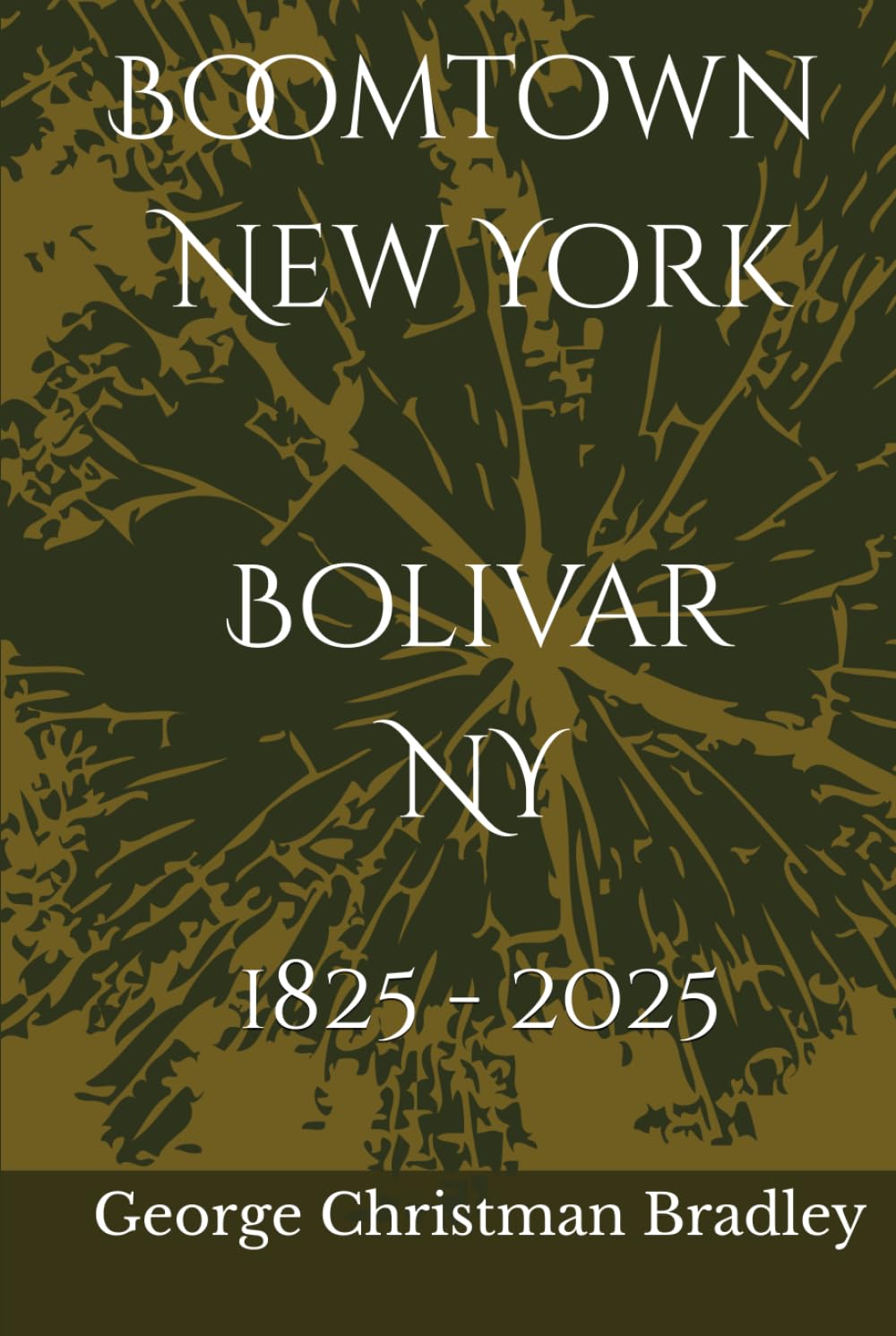 Boomtown New York: Bolivar NY 1825-2025 - 9613