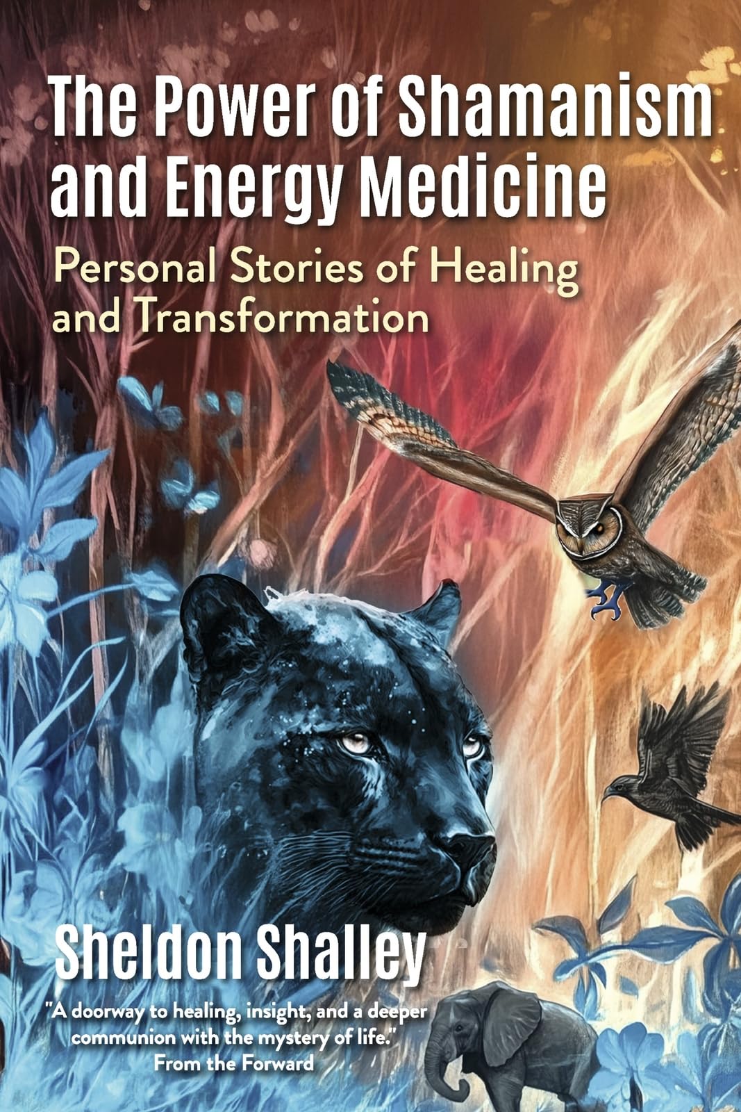 The Power of Shamanism and Energy Medicine: Personal Stories of Healing and Transformation