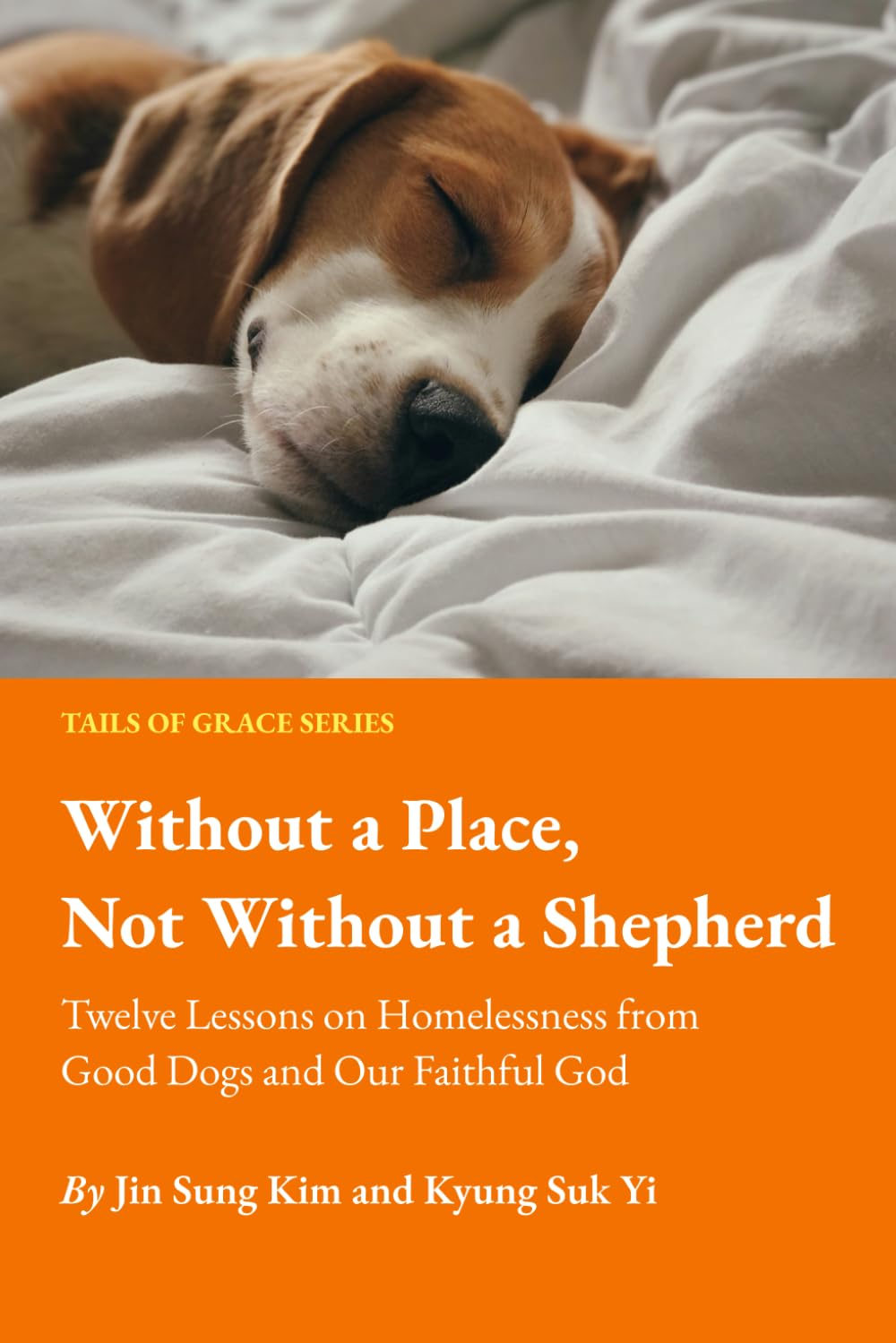 Without a Place, Not Without a Shepherd: Twelve Lessons on Homelessness from Good Dogs and Our Faithful God (Tails of Grace)