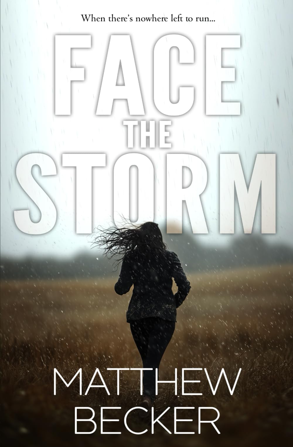Face the Storm: a gripping murder mystery thriller full of twists (Run)