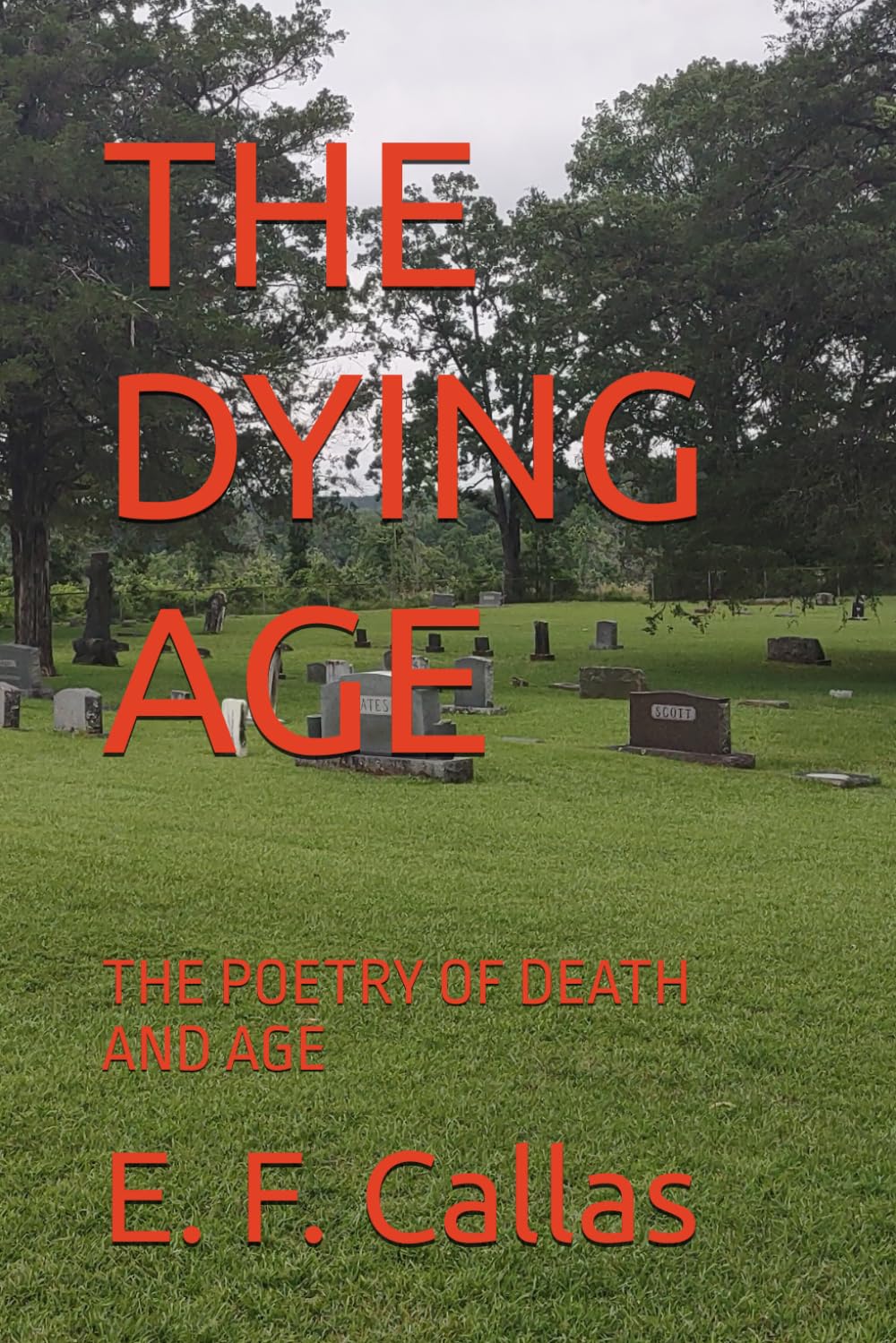 THE DYING AGE: THE POETRY OF DEATH AND AGE