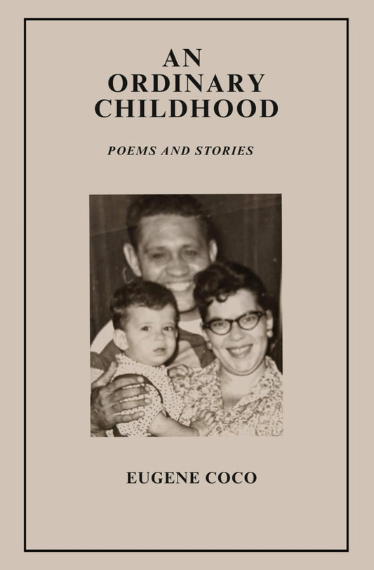 An Ordinary Childhood - 2166