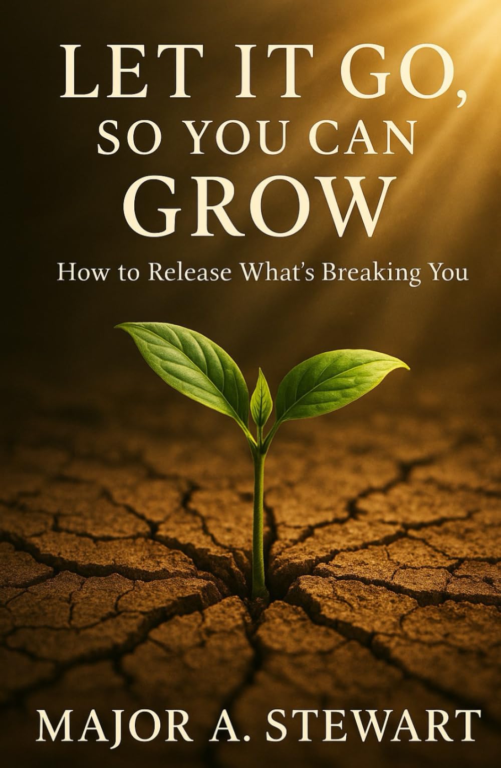 LET IT GO, SO YOU CAN GROW: How To Release What's Breaking You