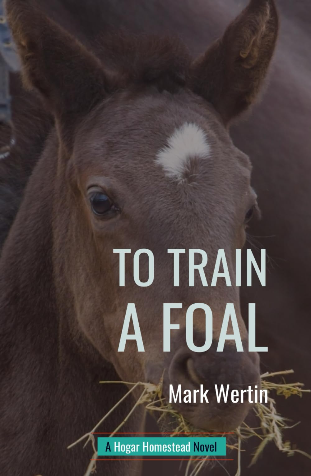 To Train A Foal: A Hogar Homestead Novel: Book 2