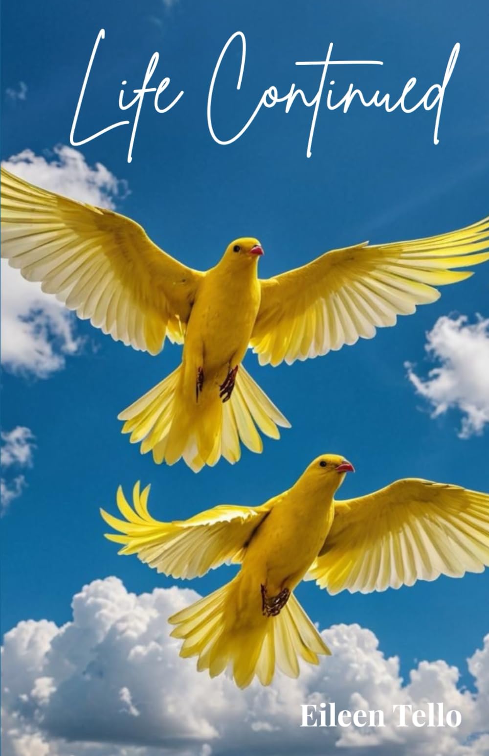 Life Continued: Life, Loved Ones, and the Soul's Journey