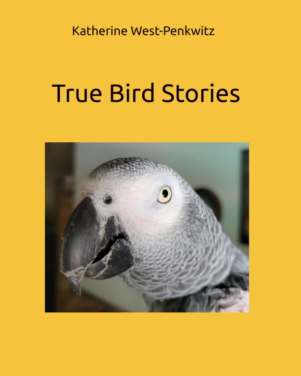 Bird Stories