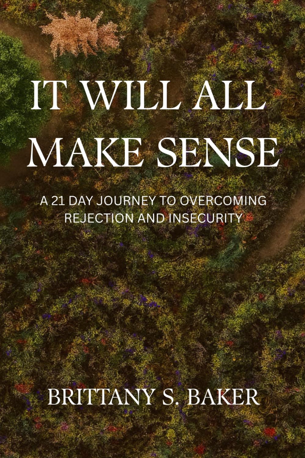 It Will All Make Sense: A 21 Day Journey to Overcoming Rejection and Insecurity