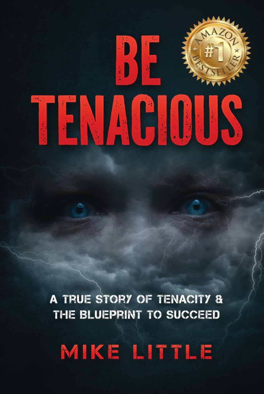 Be Tenacious: A True Story of Tenacity & The Blueprint to Succeed