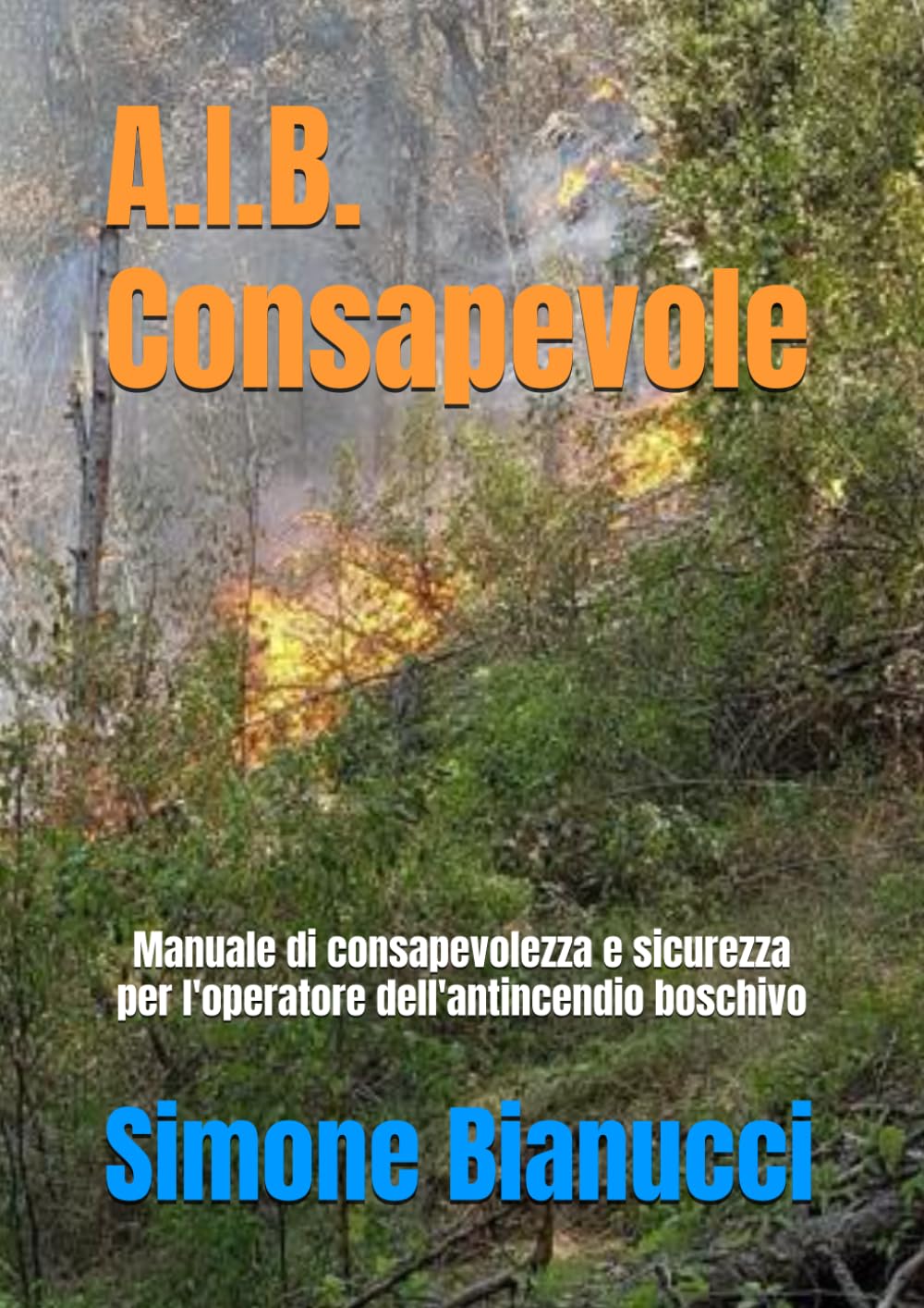A.I.B. Consapevole: Manuale di consapevolezza e sicurezza per l'operatore dell'antincendio boschivo (Italian Edition)