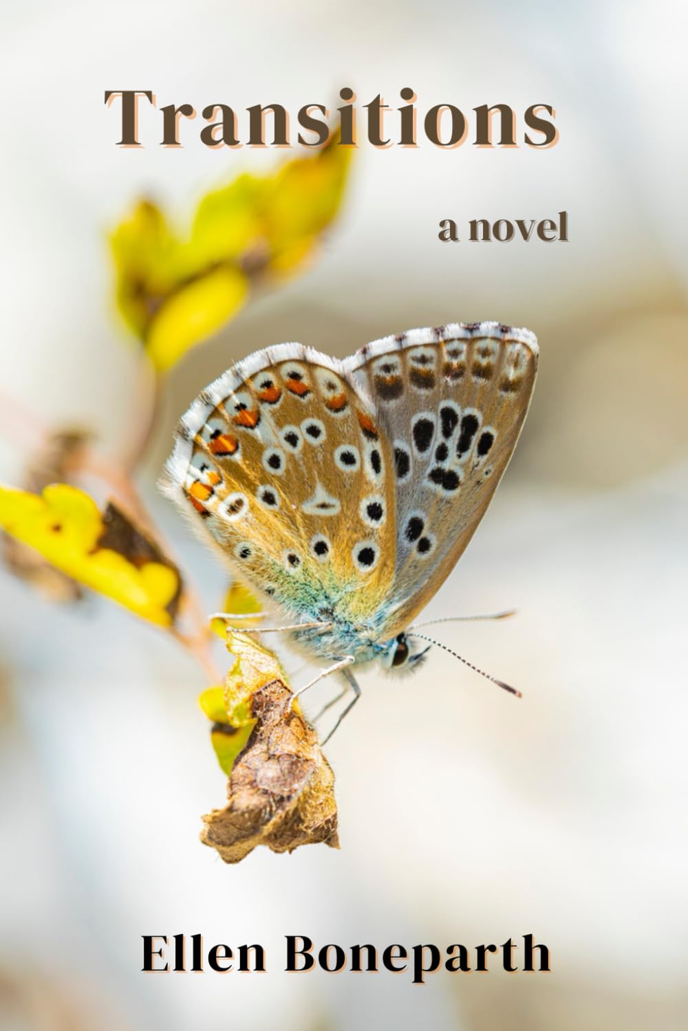 Transitions: a novel