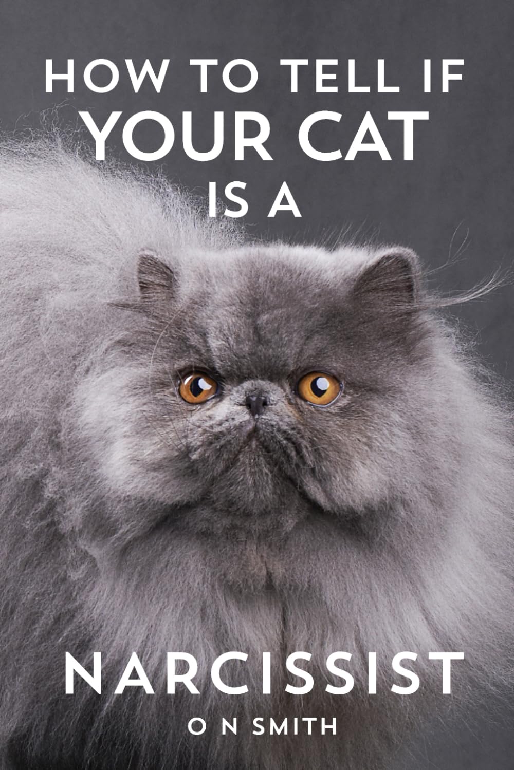 How to Tell If Your Cat Is a Narcissist: A Satirical Guide to Surviving Feline Emotional Abuse