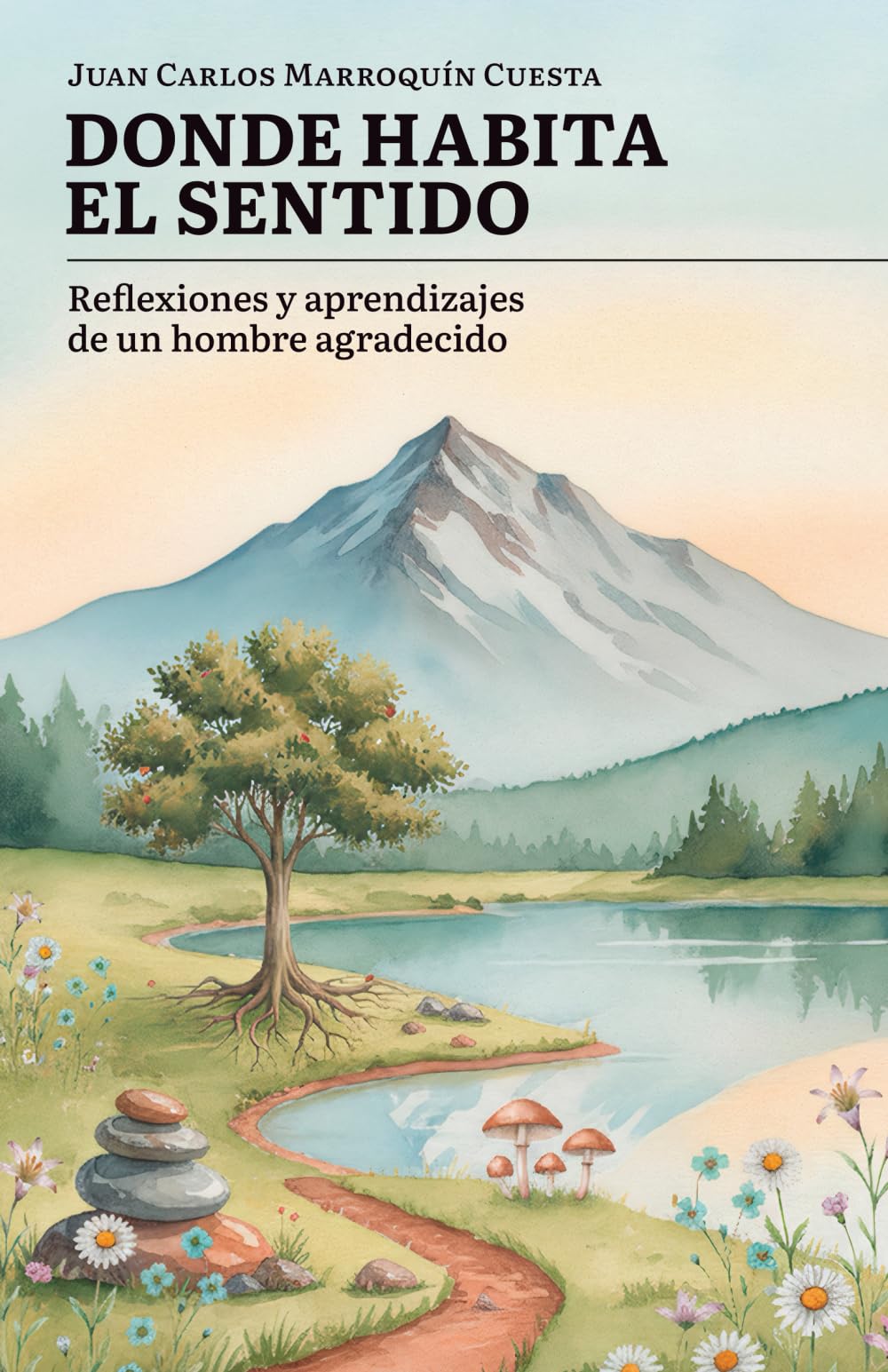 Donde habita el sentido: Reflexiones y aprendizajes de un hombre agradecido (Spanish Edition)