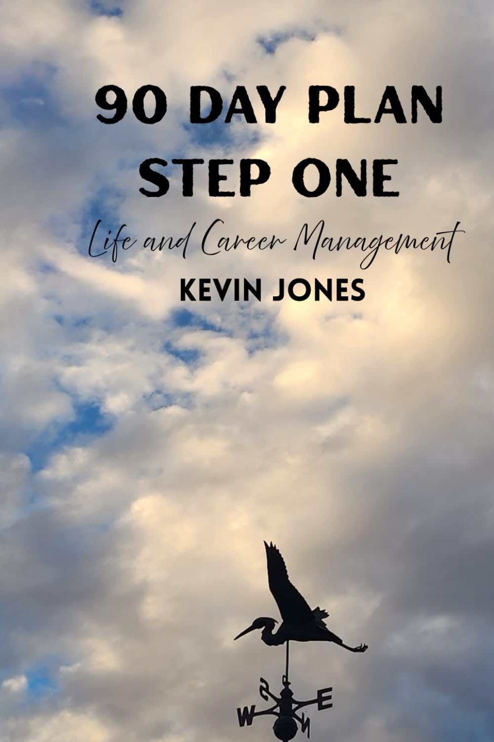 90 Day Plan: Step One (Life and Career Management)