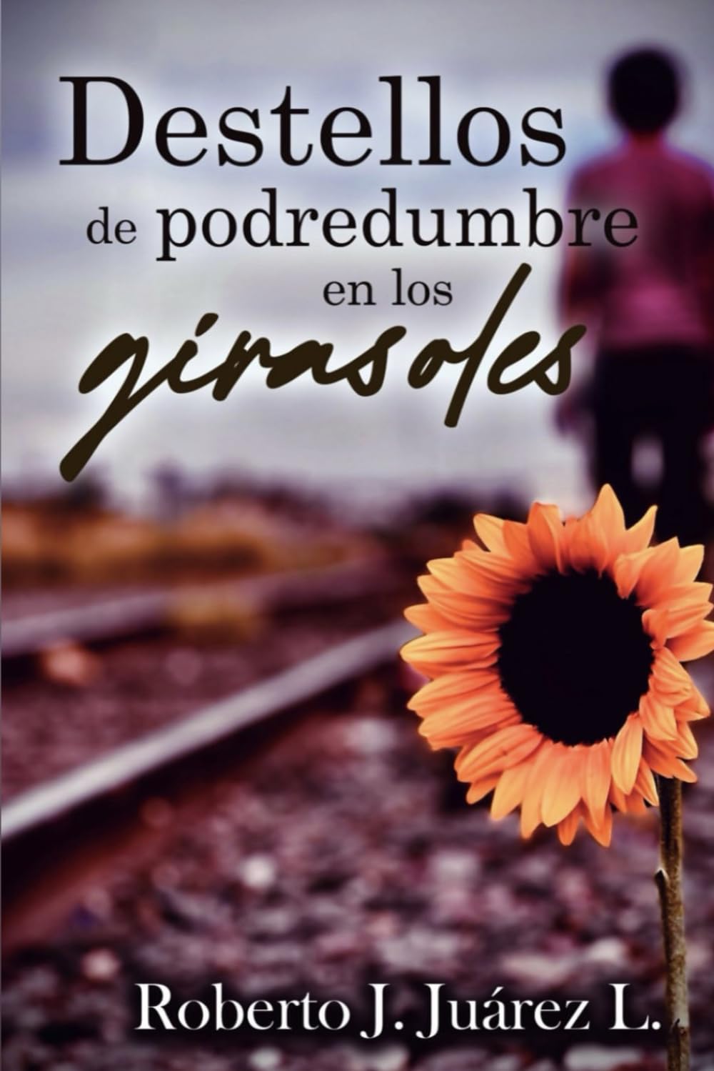Destellos de podredumbre en los girasoles