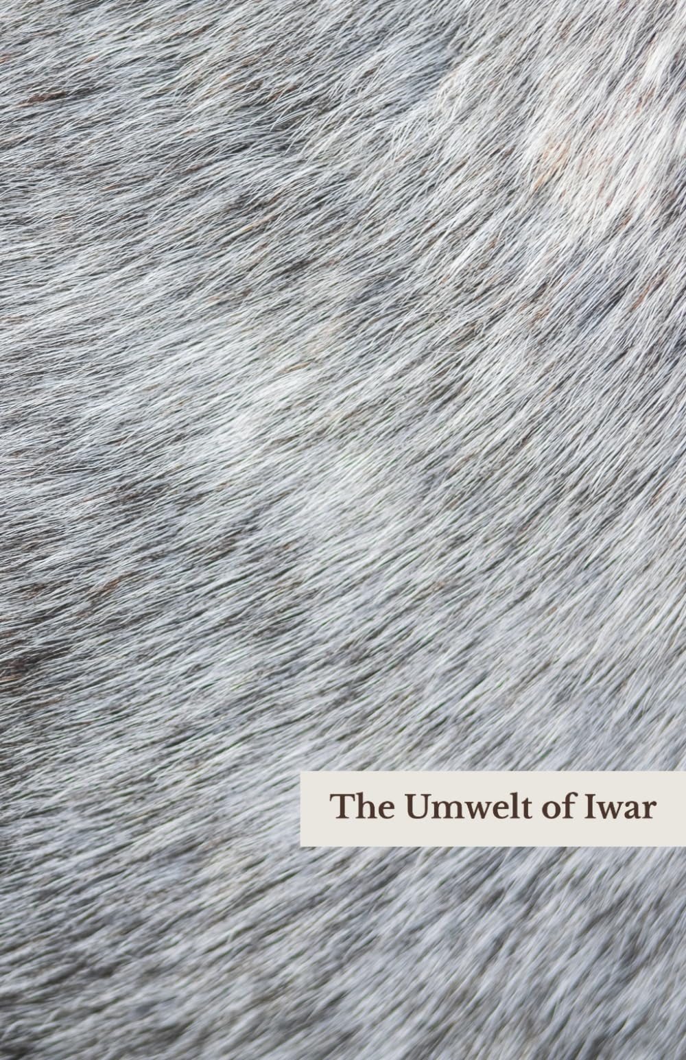 The Umwelt of Iwar