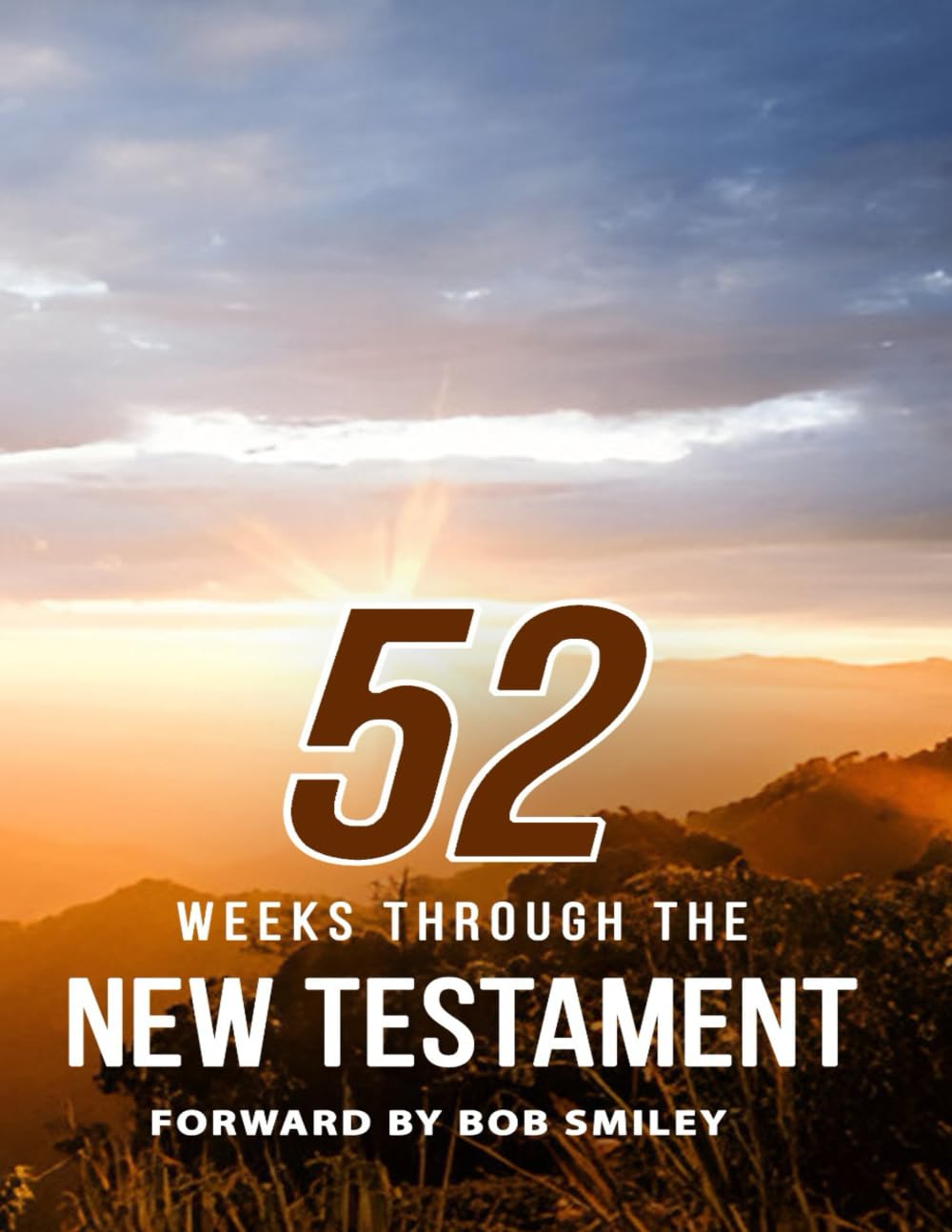 52 Weeks Through The New Testament: For Believers only