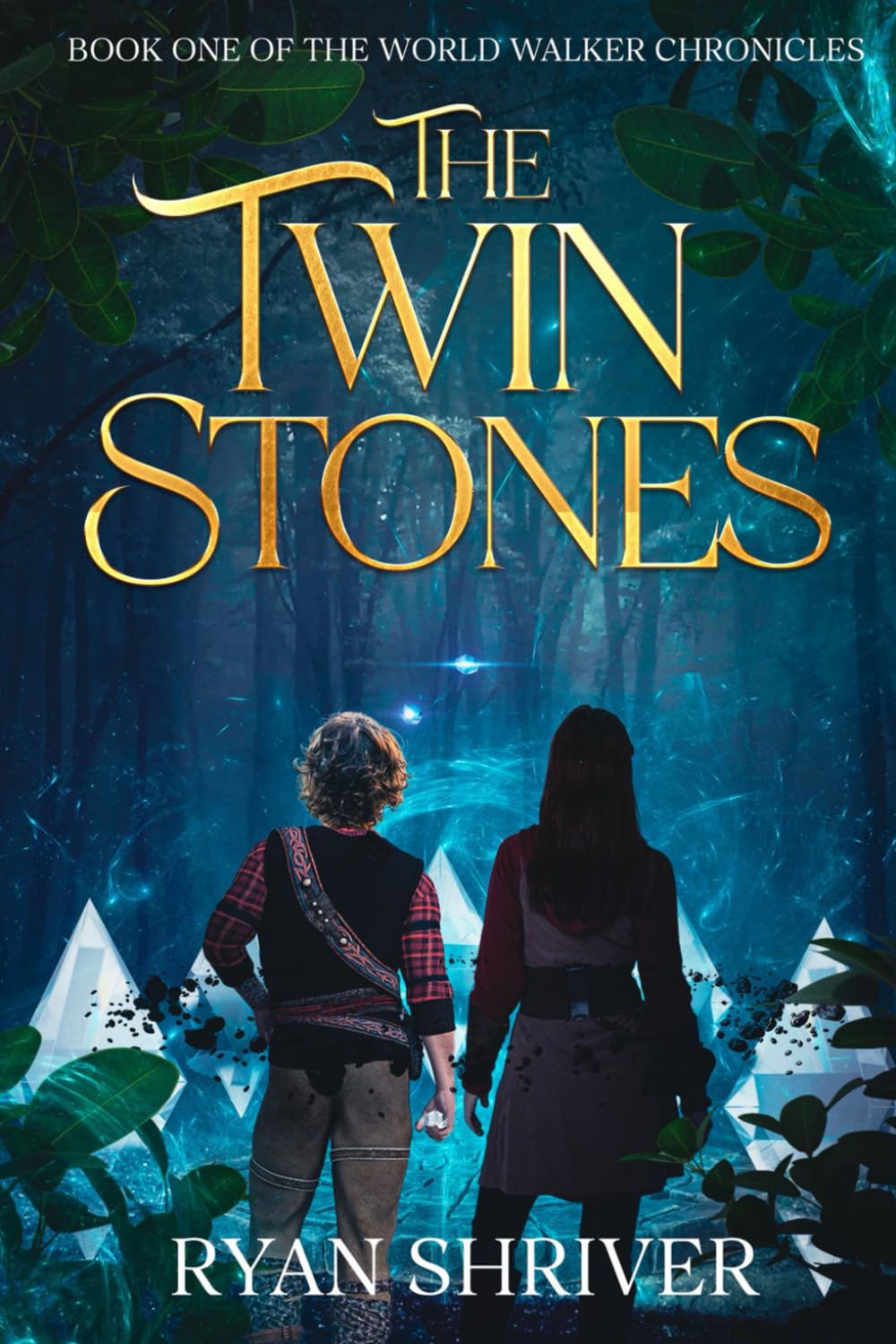 The Twin Stones: Book One of the World Walkers Chronicles