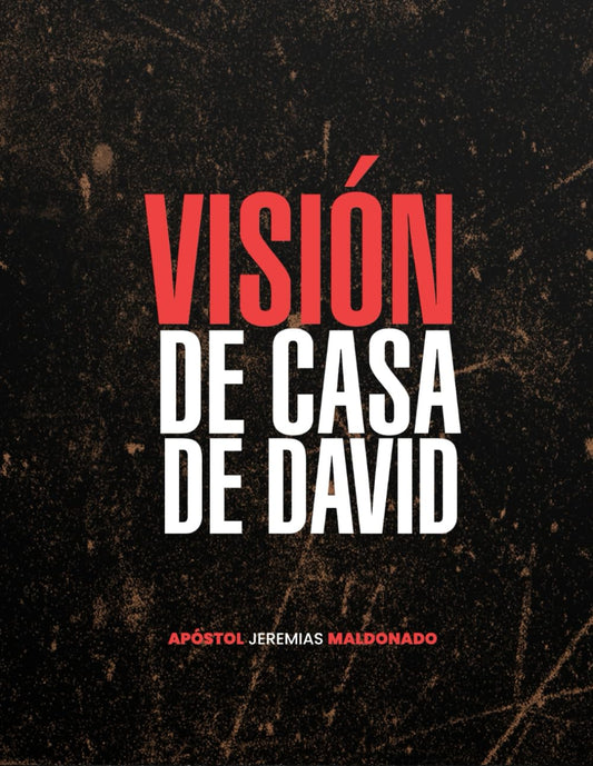 VISION PODER Y ESTRUCTURA DE LA CASA DE DAVID: VISION