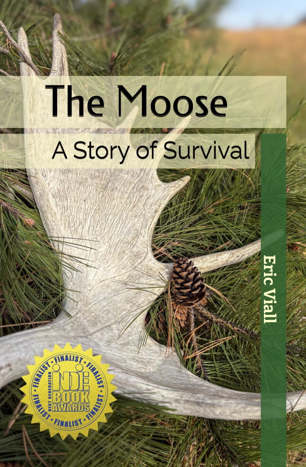 The Moose: A Story of Survival