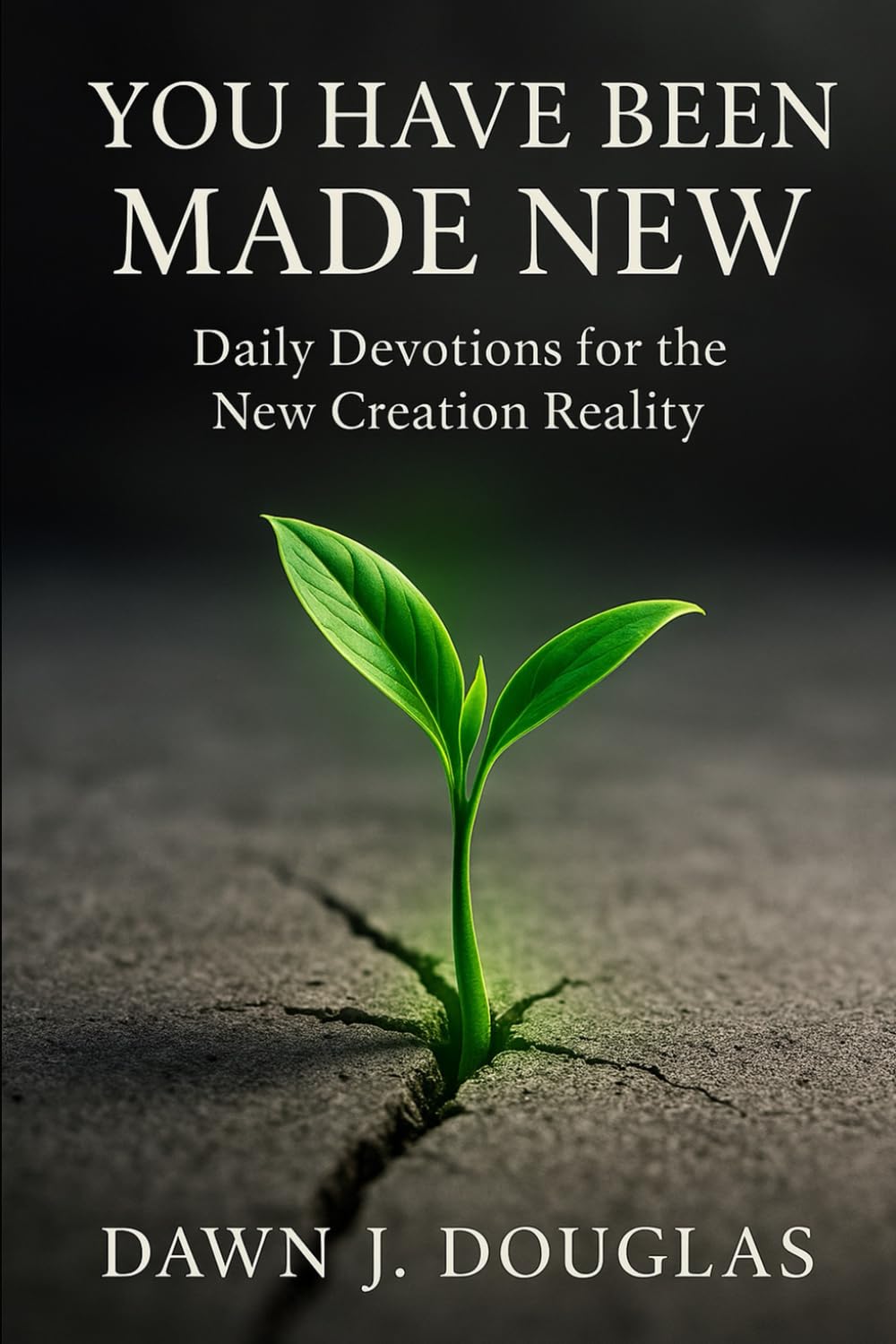You Have Been Made New: Daily Devotions for the New Creation Reality