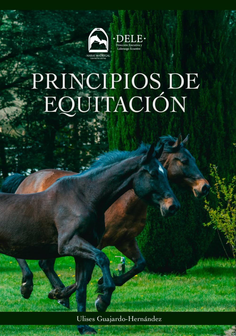 Principios de Equitación