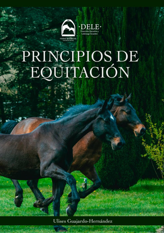 Principios de Equitación