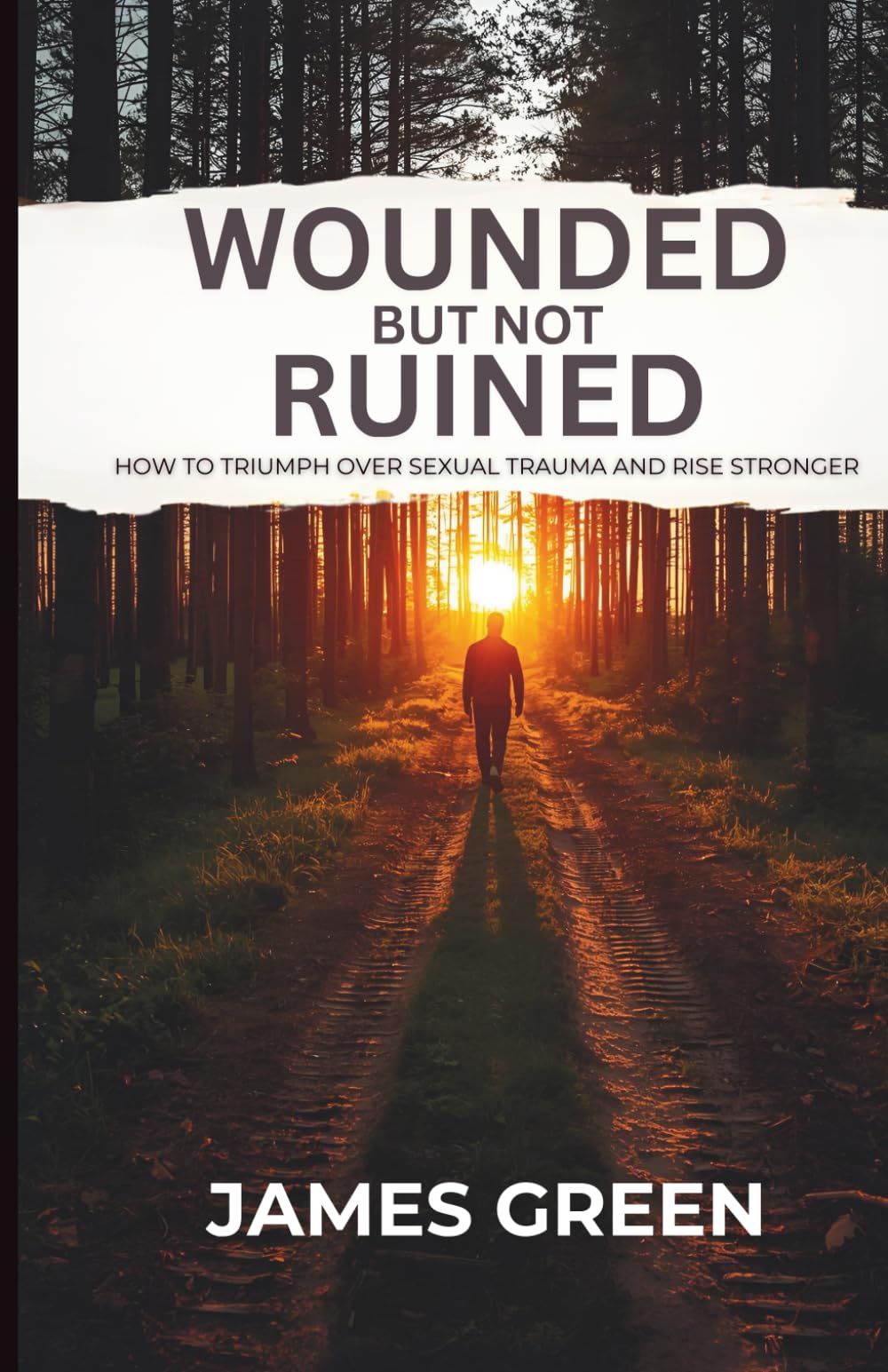 Wounded But Not Ruined: How to Triumph Over Sexual Trauma and Rise Stronger