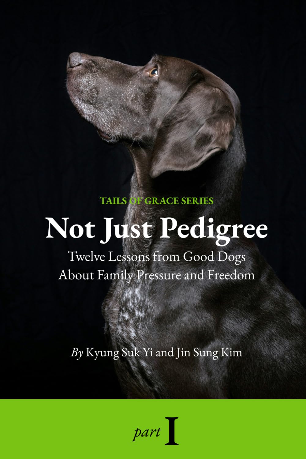 Not Just Pedigree: Part One, Twelve Lessons From Good Dogs About Family Pressure and Freedom (Tails of Grace)