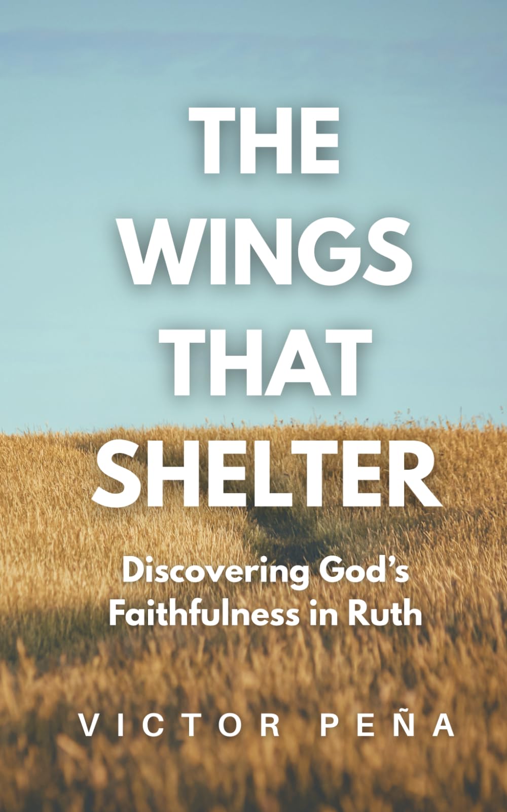 The Wings That Shelter: Discovering God's Faithfulness in Ruth