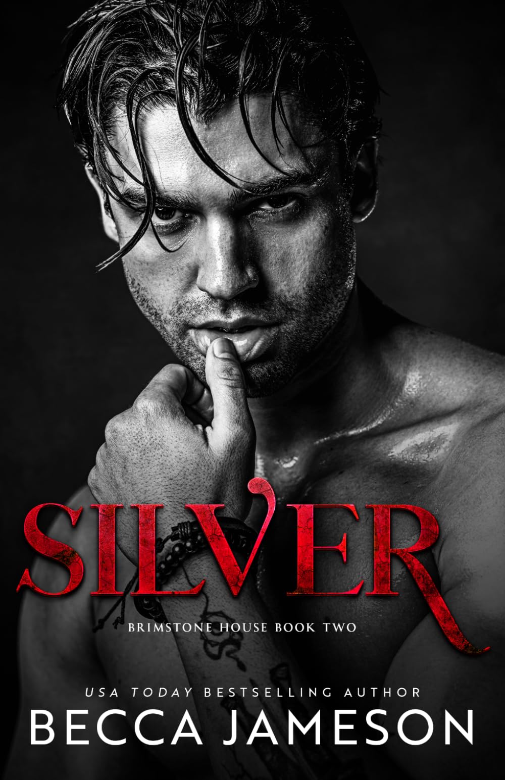 Silver (Brimstone House)