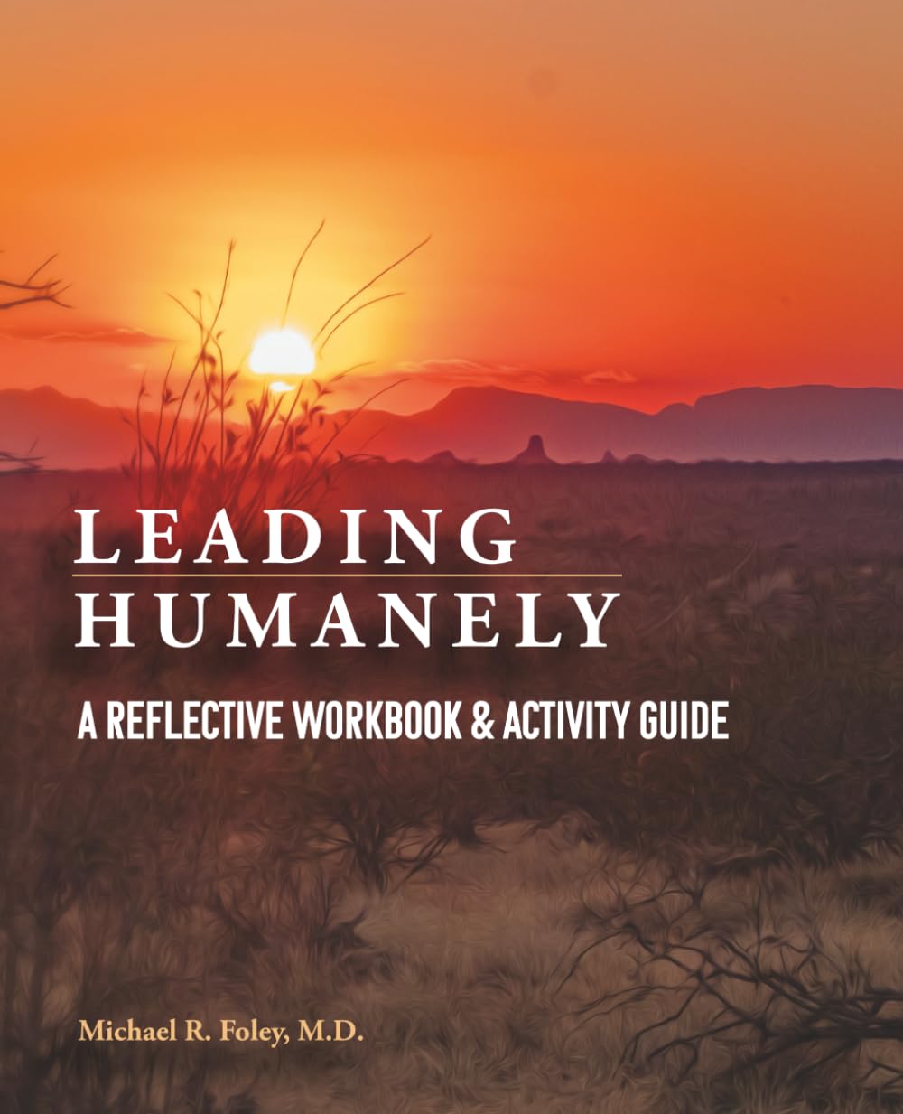 Leading Humanely: A Reflective Workbook & Activity Guide (Leading Humanely Series)