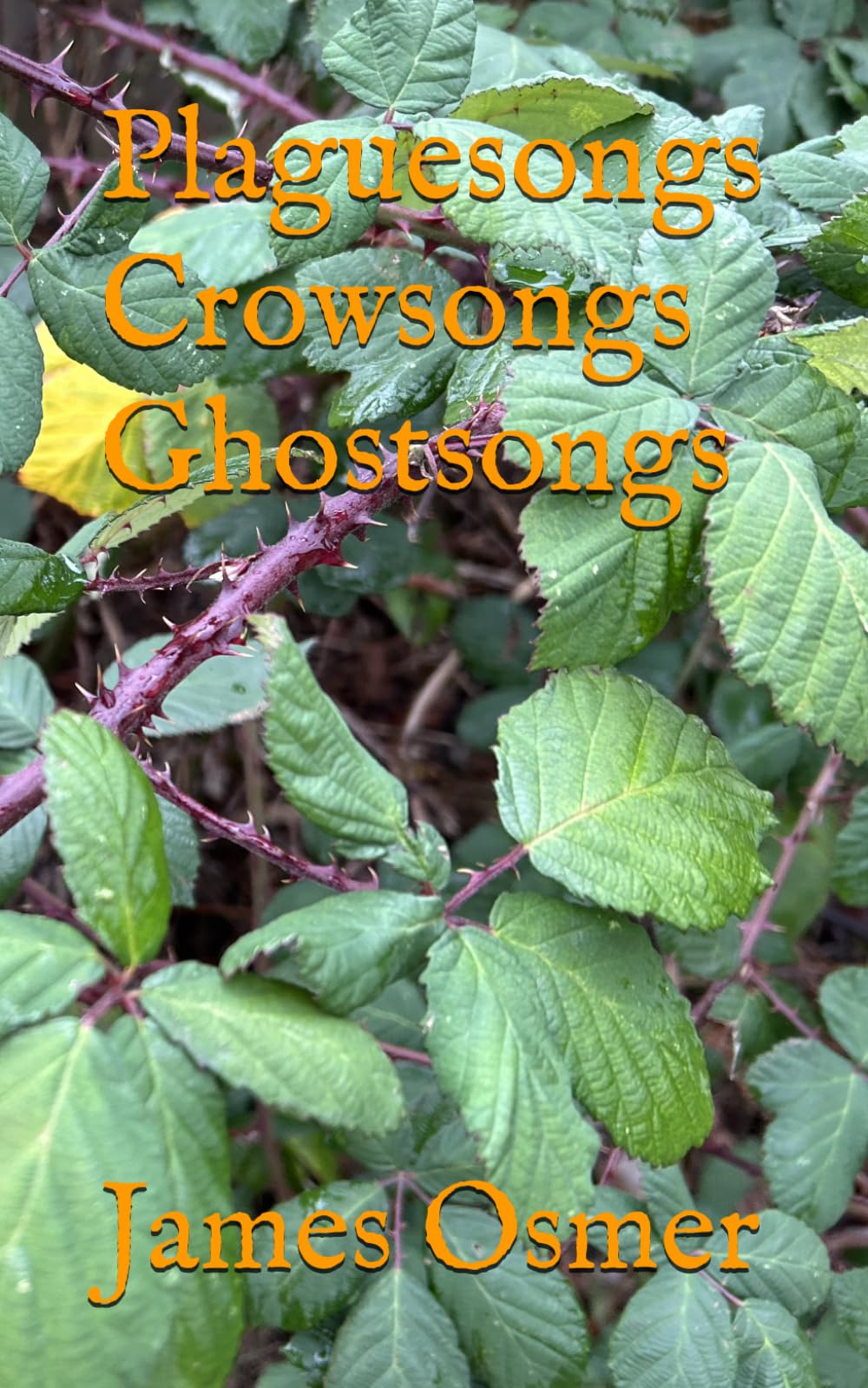 Plaguesongs Crowsongs Ghostsongs