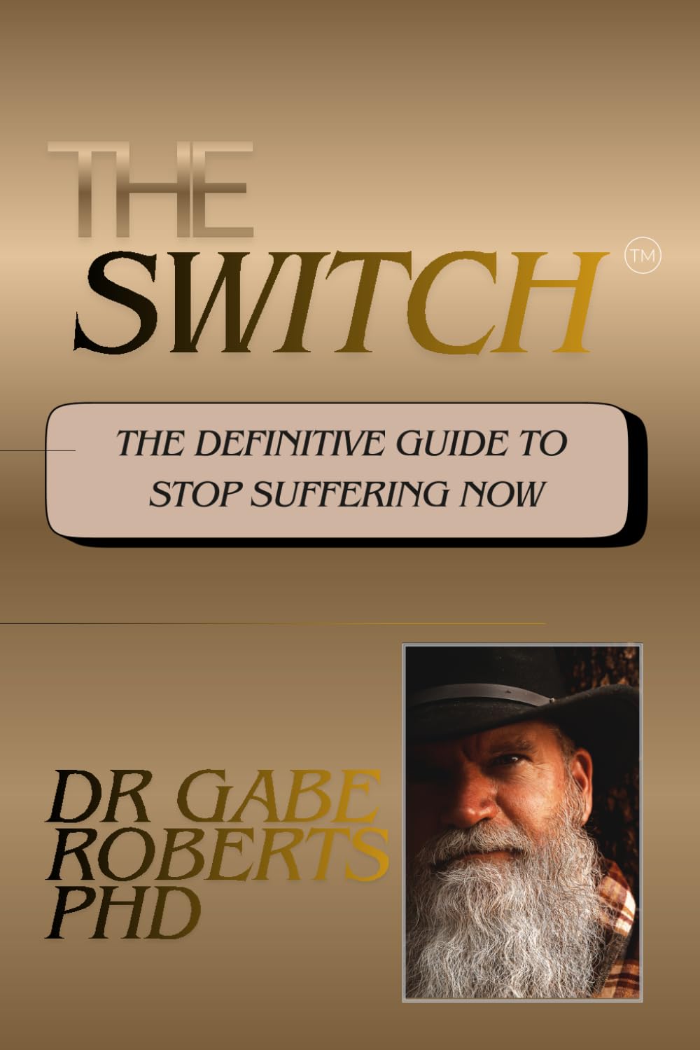 The Switch: The Definitive Guide to Stop Suffering Now