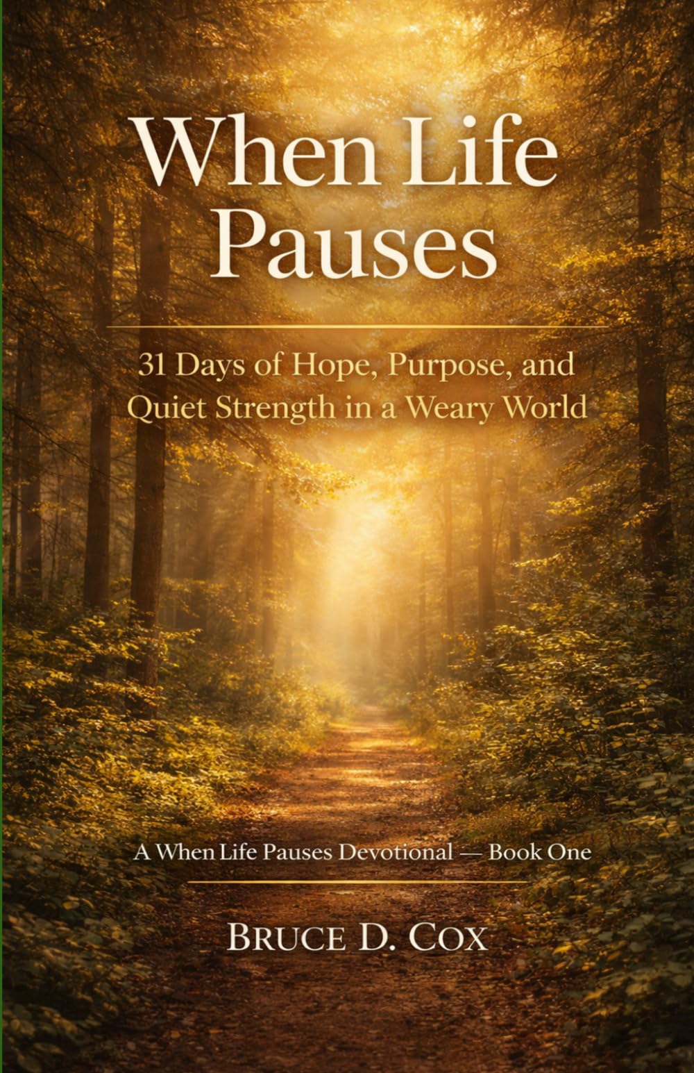 When Life Pauses: 31 Days of Hope, Purpose, and Quiet Strength in a Weary World (When God Writes The Story Devotional Series)